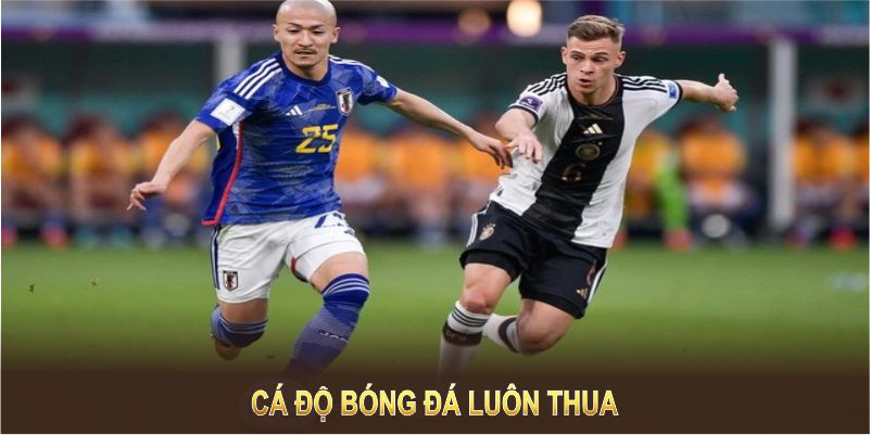 Cá Độ Bóng Đá Luôn Thua